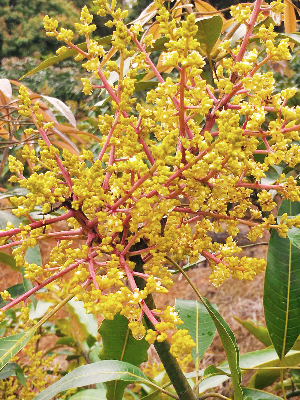 1521161433382458.jpg 微信圖片_201803091721249.jpg