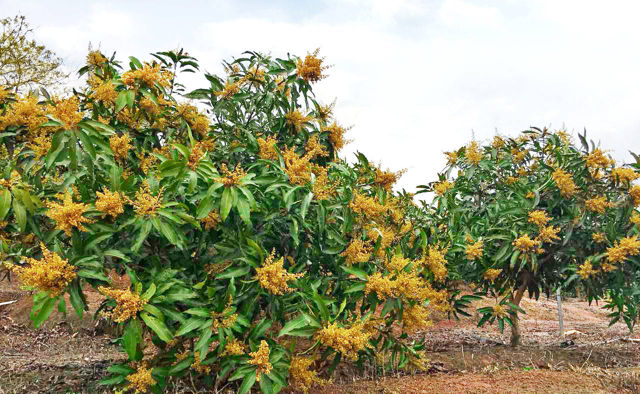 1521161556431955.jpg 微信圖片_201803091721242.jpg