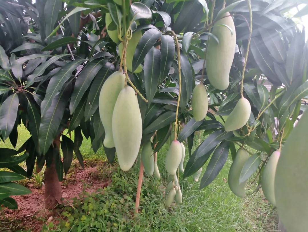 1531294308230092.jpg 1531294308230092.jpg