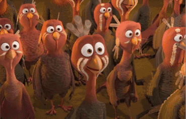 1542851836155638.gif timg (3).gif