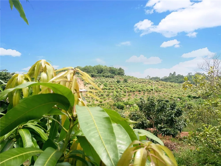 1560498367175167.jpg 640.webp (1).jpg