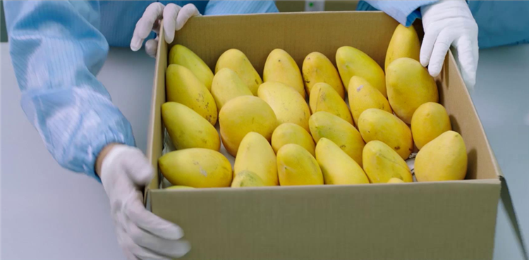 1560498516431258.png 愛奇藝20190611114945.png