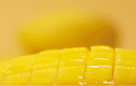 1560498561637244.gif 芒果.gif