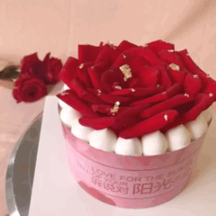 1598337452877696.gif 6(改).gif