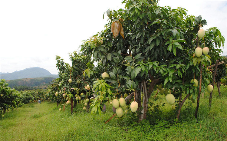 1598939625801135.jpg 科技園x4.cdr_22.JPG